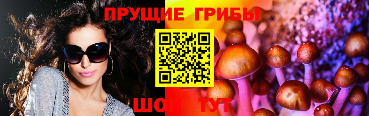Лесозаводск  где купить наркоту  Вход с VPN  Псилоцибиновые грибы Psilocybe 