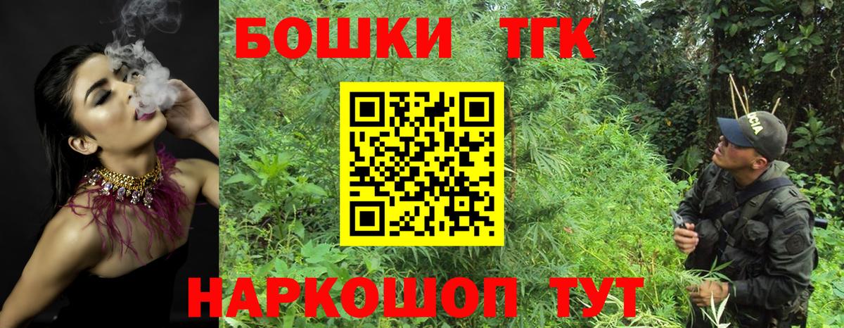 Меф Лесозаводск